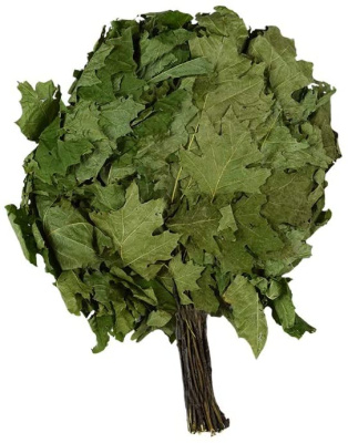 Oak Bath Broom Russian 1