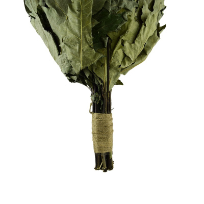 venik_oak_without_net2.jpg