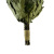 venik_oak_without_net2.jpg