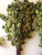 bath_broom_ukrainian_birch.JPG bath_broom_ukrainian_birch.JPG