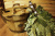 venik_oak_broom.jpg venik_oak_broom.jpg